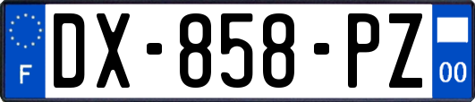 DX-858-PZ