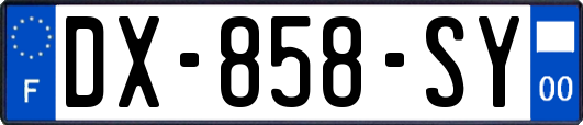 DX-858-SY