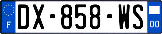 DX-858-WS