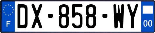 DX-858-WY