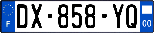 DX-858-YQ