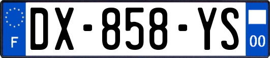 DX-858-YS