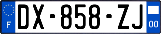 DX-858-ZJ