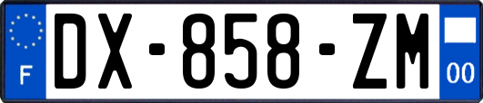 DX-858-ZM