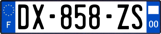 DX-858-ZS