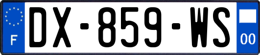 DX-859-WS