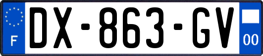 DX-863-GV