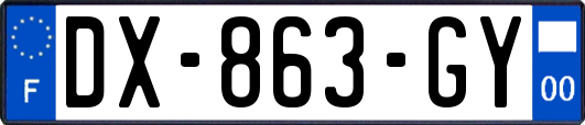 DX-863-GY
