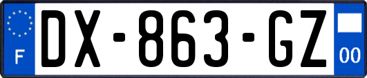 DX-863-GZ