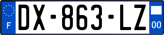 DX-863-LZ