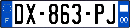 DX-863-PJ