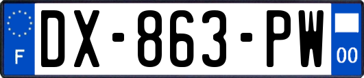 DX-863-PW