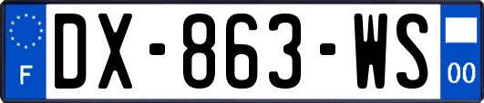 DX-863-WS