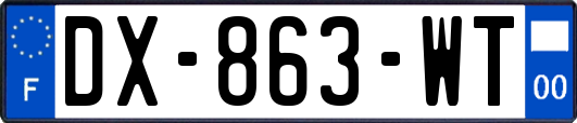 DX-863-WT