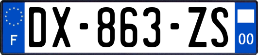 DX-863-ZS