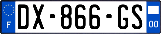 DX-866-GS