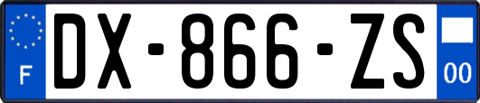 DX-866-ZS