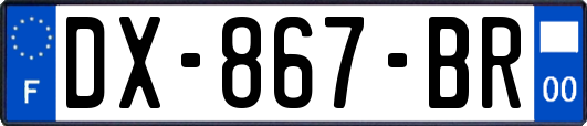 DX-867-BR