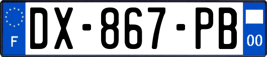 DX-867-PB