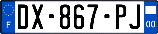 DX-867-PJ