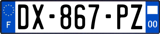 DX-867-PZ