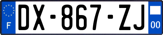 DX-867-ZJ