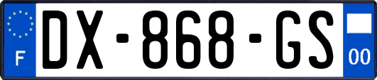 DX-868-GS
