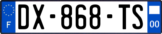 DX-868-TS