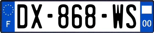 DX-868-WS