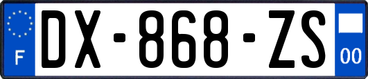 DX-868-ZS