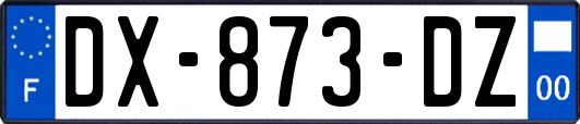 DX-873-DZ