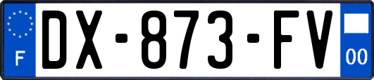 DX-873-FV