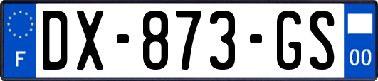 DX-873-GS