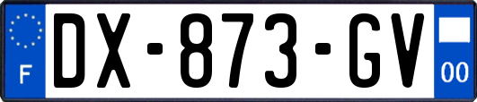 DX-873-GV