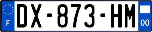 DX-873-HM