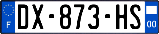 DX-873-HS