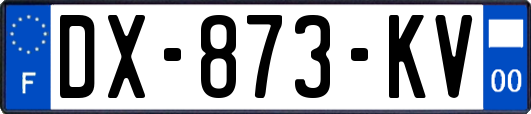 DX-873-KV