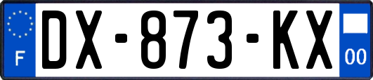 DX-873-KX