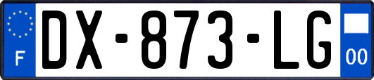 DX-873-LG