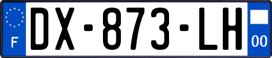 DX-873-LH