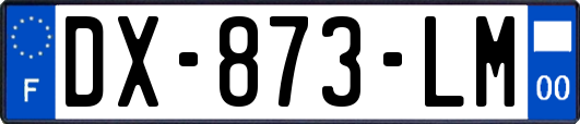 DX-873-LM