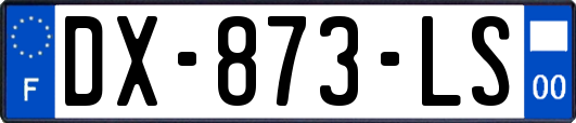 DX-873-LS