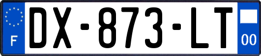 DX-873-LT