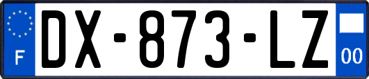 DX-873-LZ