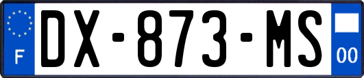 DX-873-MS