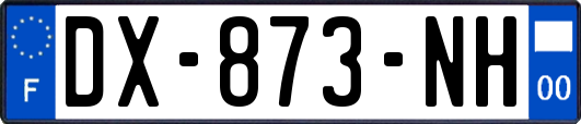 DX-873-NH