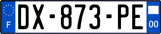 DX-873-PE