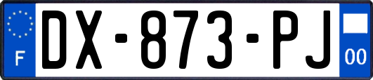 DX-873-PJ