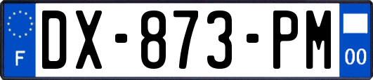 DX-873-PM