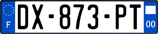 DX-873-PT